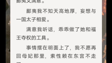 非常虐心的亡国公主古言小说,哔哩哔哩bilibili