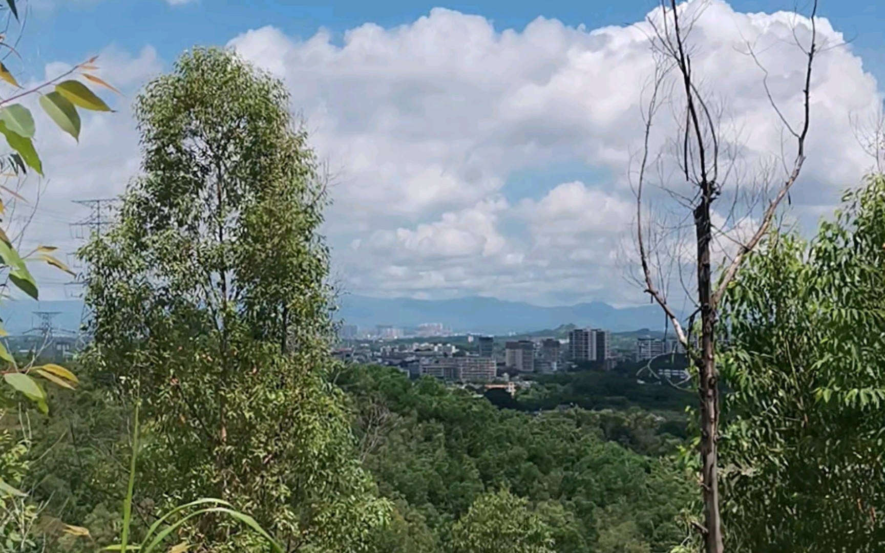 天空晴朗,白云流淌,鸟儿自由歌唱,阳光照耀,高高山岗…哔哩哔哩bilibili