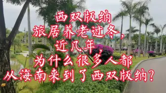 Download Video: 西双版纳旅居养老过冬，近几年为什么很多人都从海南来到了西双版纳？