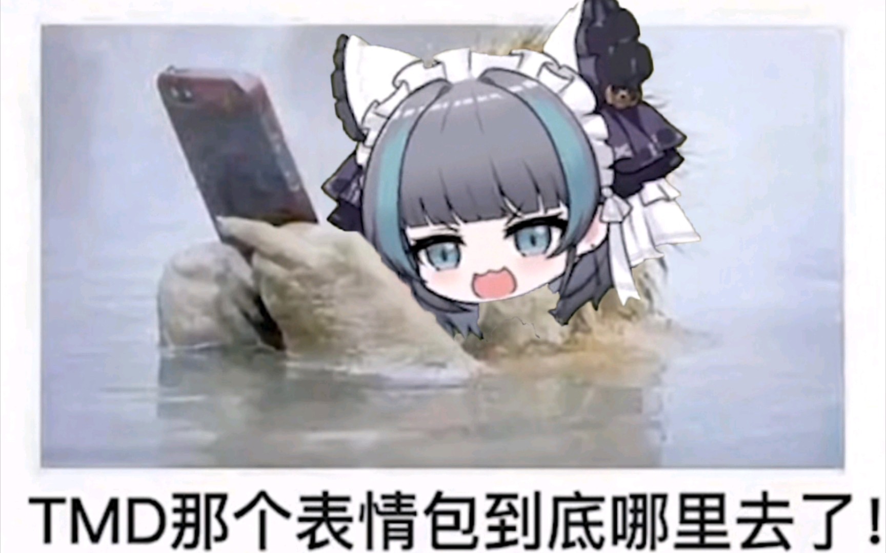 碧蓝航线沙雕图(11)柴郡猫猫专集四
