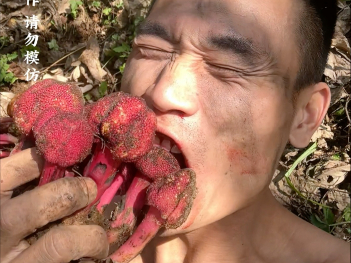 神农不一定有我硬