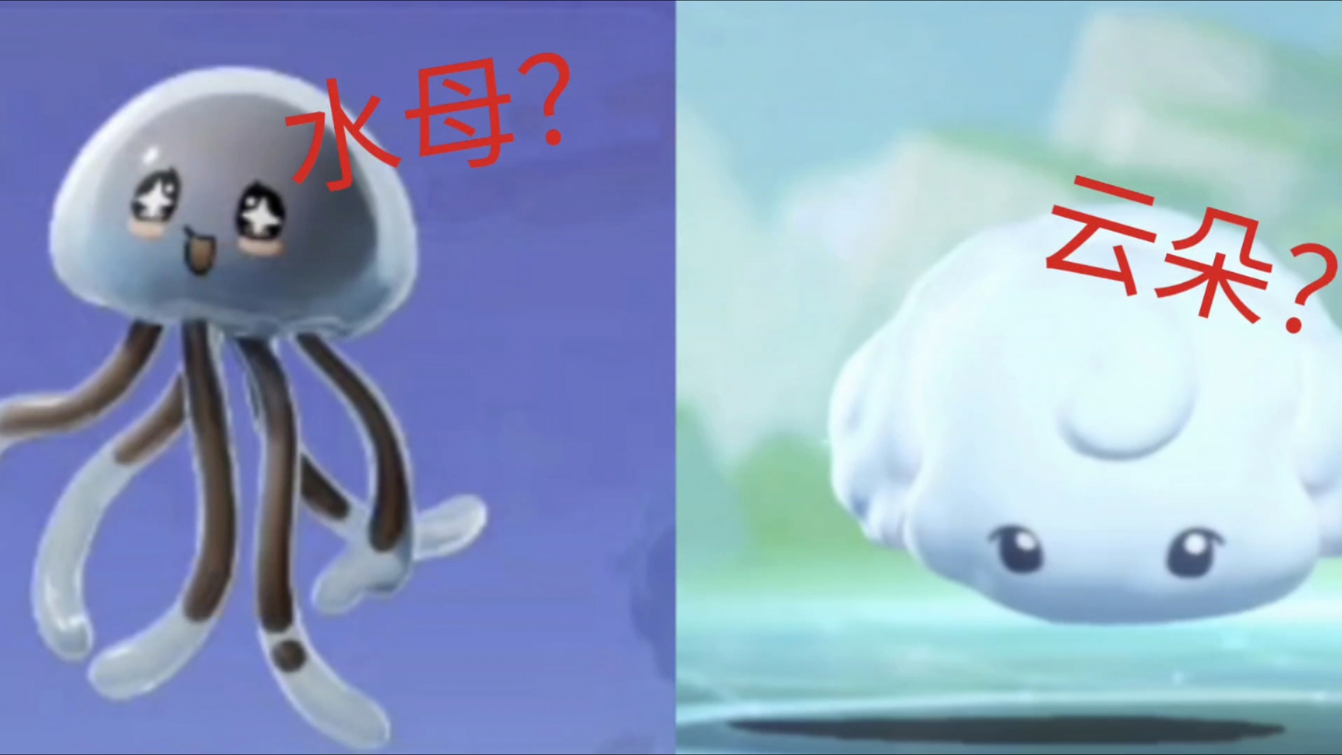 新领域?新艾比?