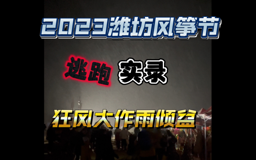 2023潍坊风筝节4月15日晚风雨交加大逃跑哔哩哔哩bilibili