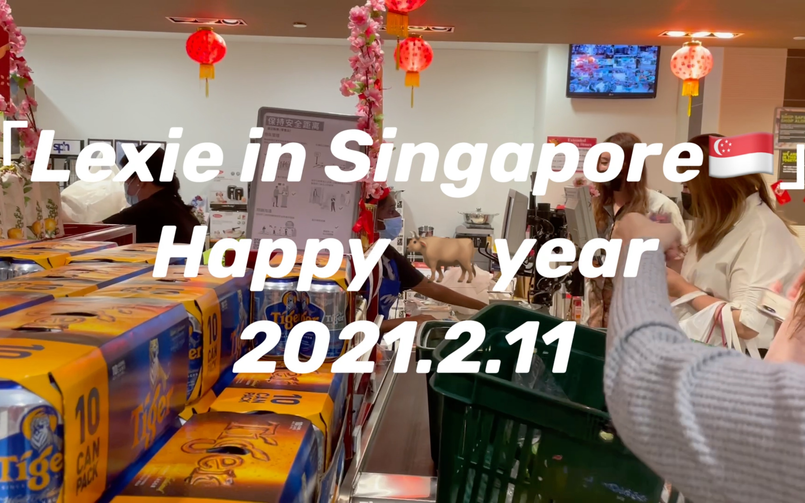 「除夕vlog」2021在热带过春节|新加坡