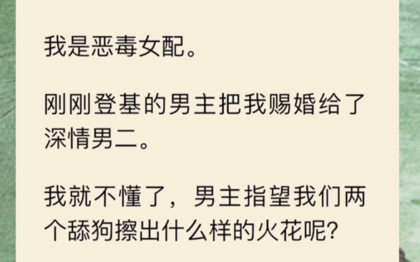 我是恶毒女配,男主刚登基,就把我赐婚给了深情男二…《火花不及》哔哩哔哩bilibili