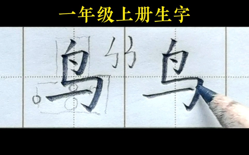 [图]【鸟】详细讲解。一年级上册语文识字7《大小多少》生字。#跟卢老师学书法#一年级上册生字#济南少儿硬笔书法