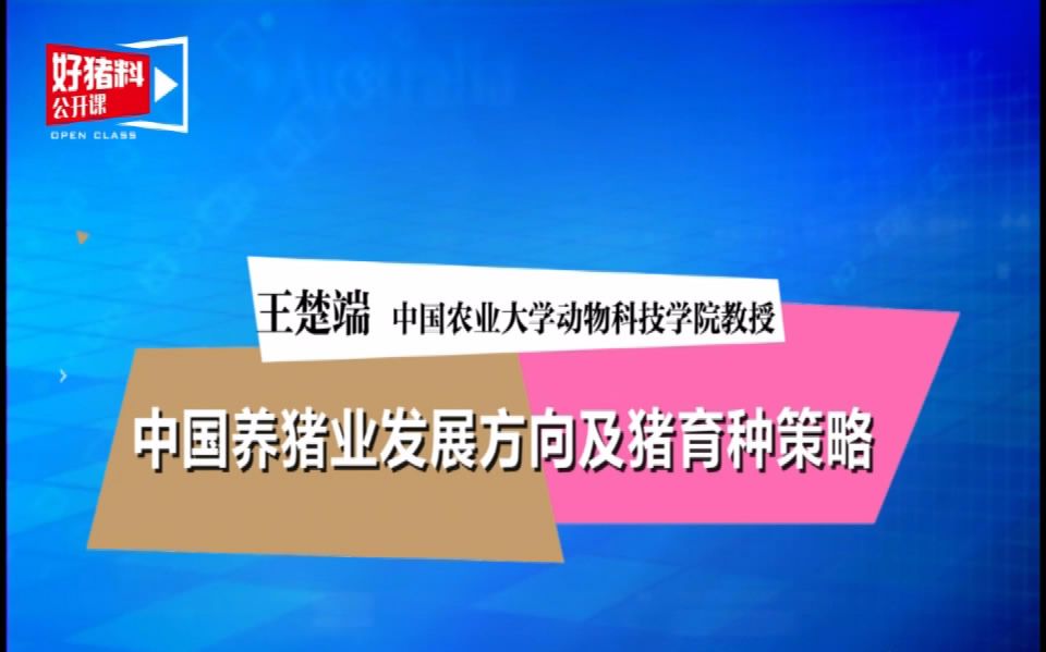 《中国养猪业发展方向及猪育种策略》好猪料公开课哔哩哔哩bilibili