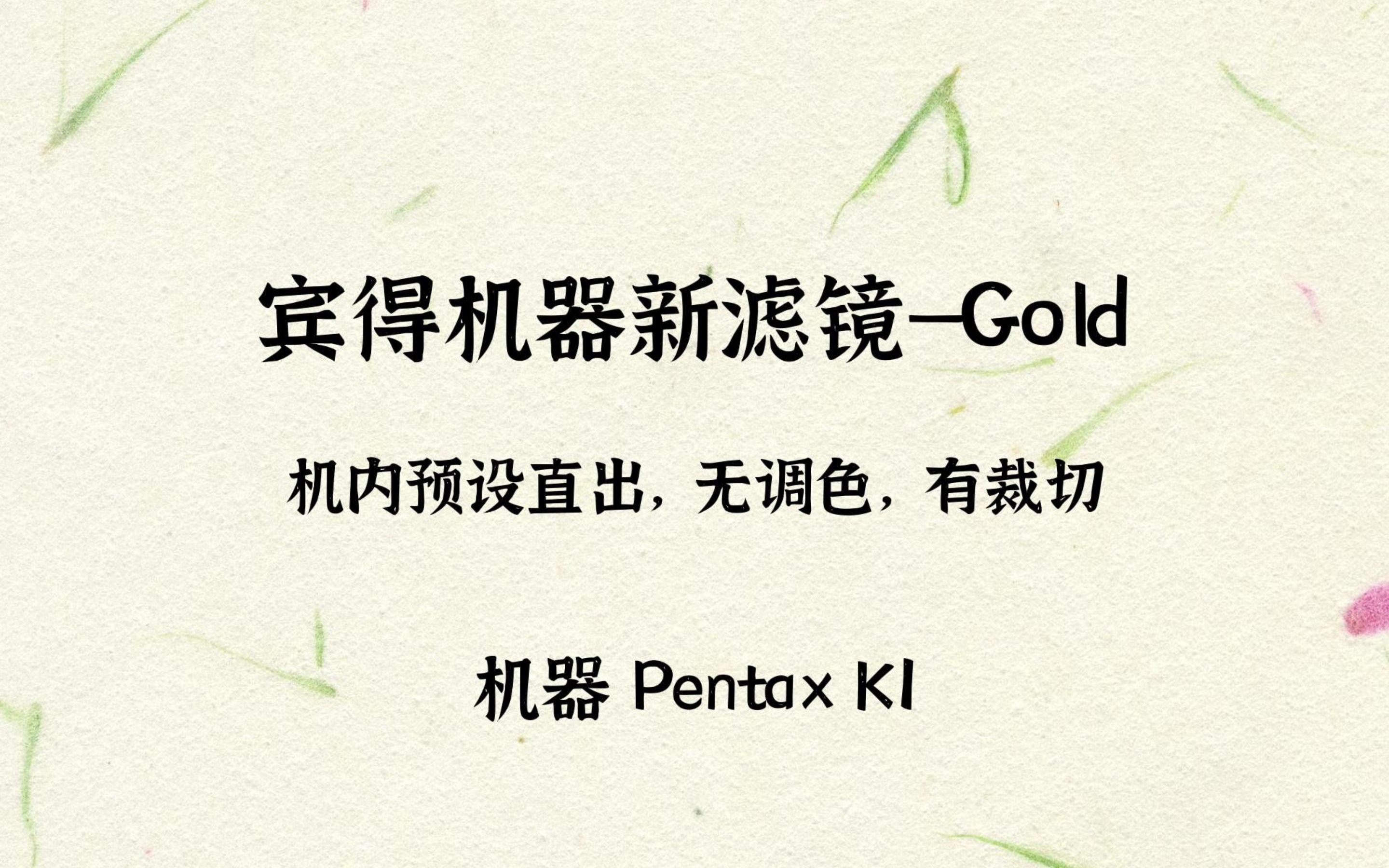 宾得新滤镜Gold,机内预设,pentax gold,孤独的宾得哔哩哔哩bilibili