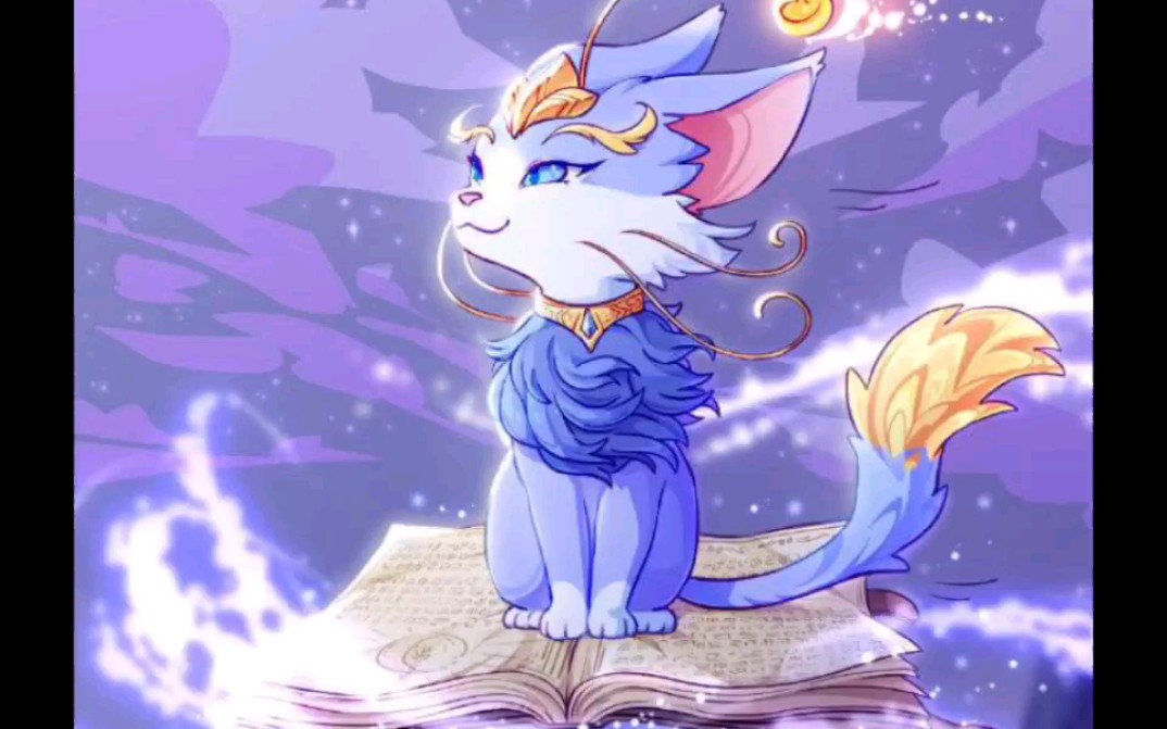 谁会拒绝一只可爱的魔法猫咪呢