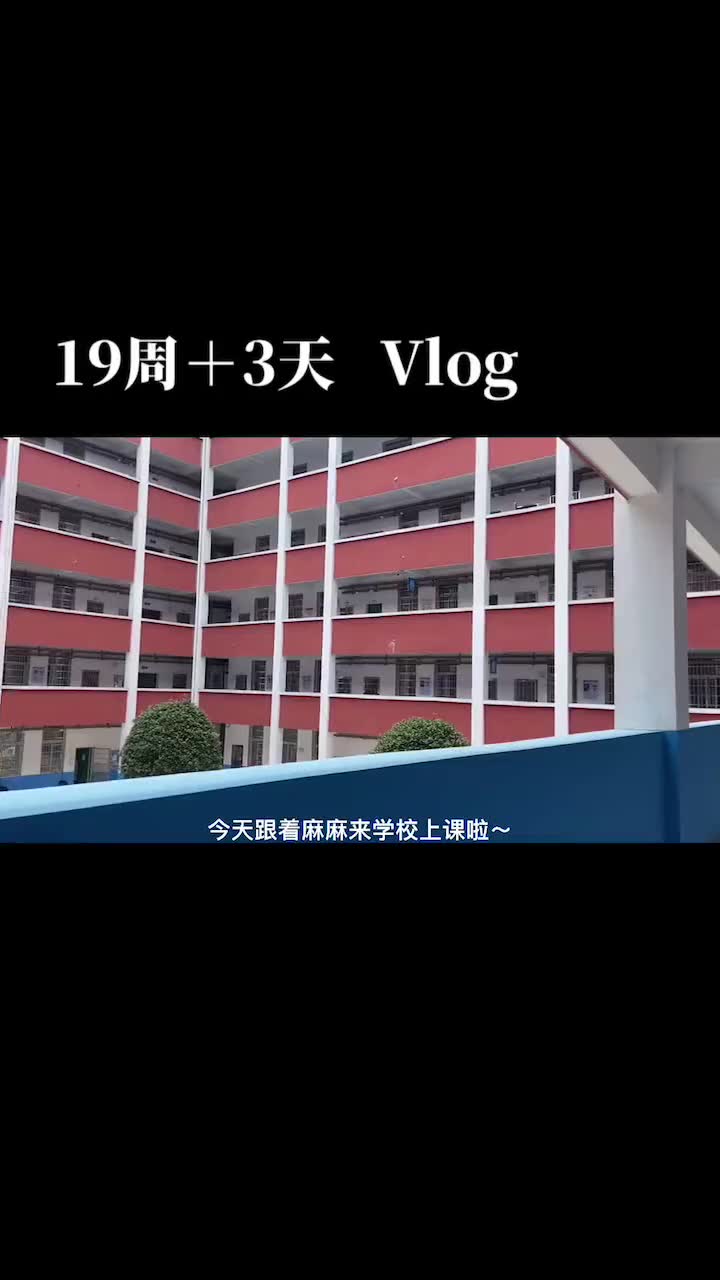 小孕妇也可以挺着大肚子上班和吃食堂呀~同事都说我的肚子像6个月,其实𐟤㰟䣰Ÿ䣰Ÿ䣥“”哩哔哩bilibili