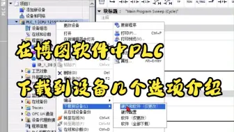 在博图软件中 PLC下载到设备几个选项介绍