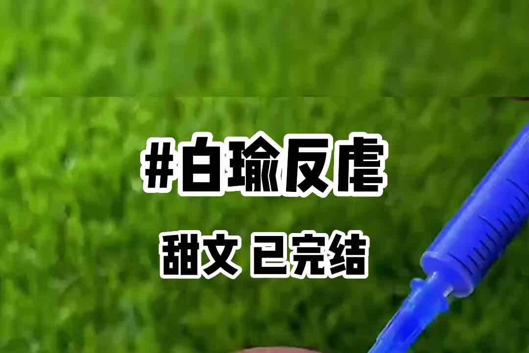 #白瑜反虐 知呼观看哦