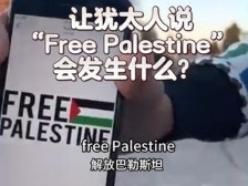 让以色列的犹太人说“Free Palestine”会发生什么?哔哩哔哩bilibili