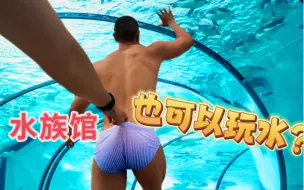 Download Video: 【达生活】好玩到被抓住裤子不让走