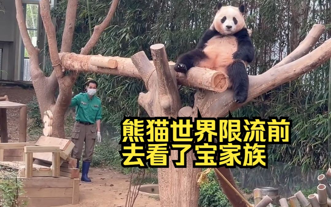 [图]在熊猫世界限流前去了爱宝乐园看宝家族