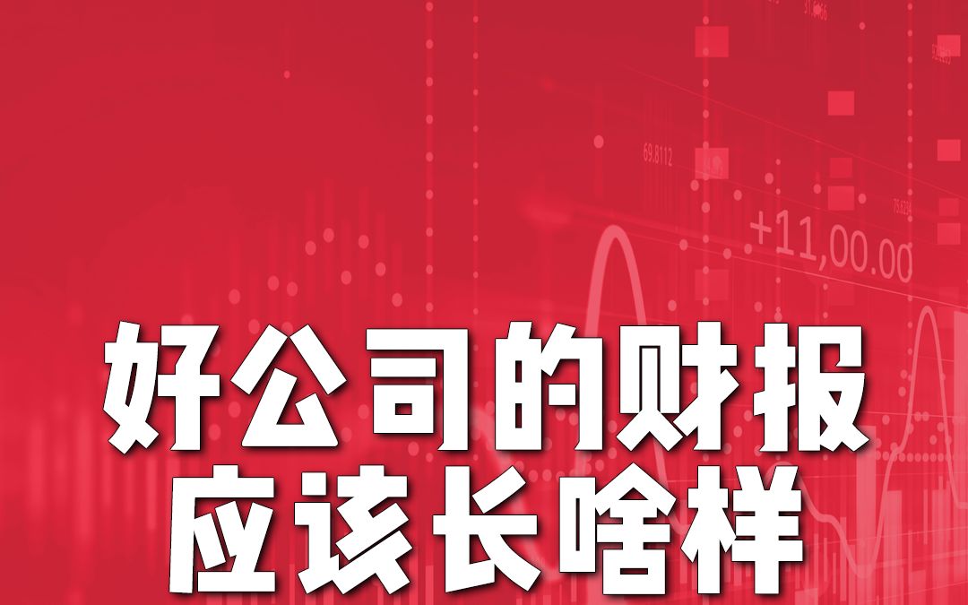 财报看不懂?3表格告诉你,好公司都长这样!哔哩哔哩bilibili