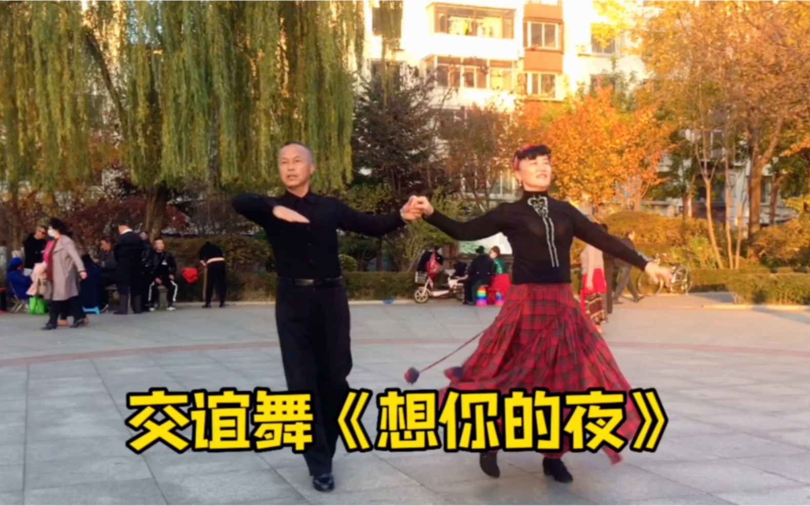 [图]广场交谊舞帕斯，相思夜无眠