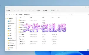 Download Video: U盘里面的文件名全部乱码了怎么办？文件名乱码数据恢复软件