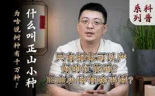 Download Video: 什么叫正山小种｜小种红茶正山外山怎么分？