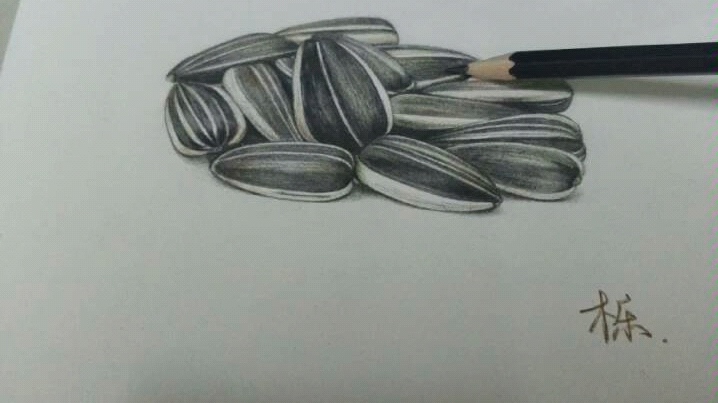 【超写实】葵花籽教程