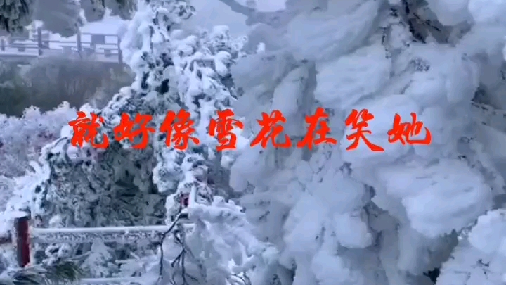 [图]DJ版《又见雪花飞》索丽娜唱