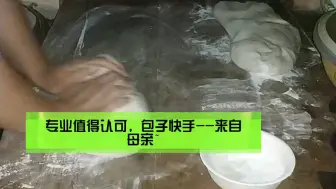 下载视频: 包子快手