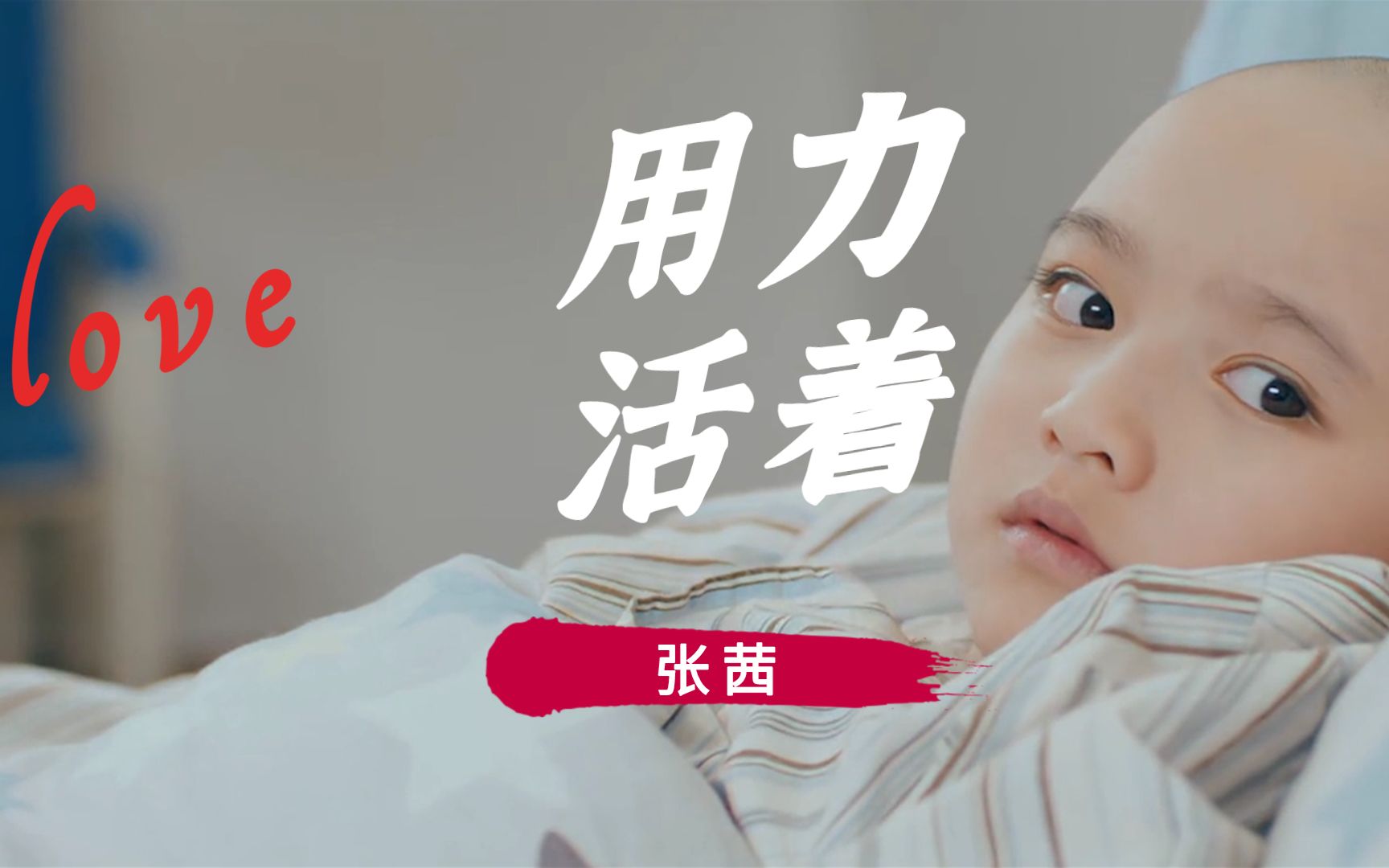 张茜一首用力活着干嘛都不易泪目