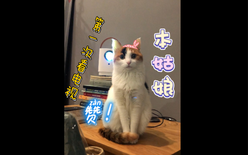 一只小猫咪电视虫哔哩哔哩bilibili