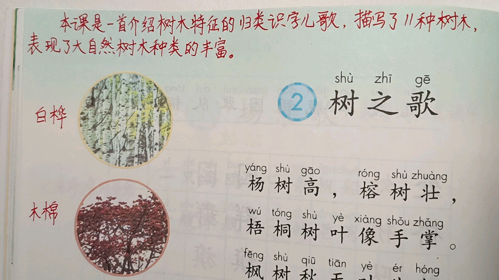 二年级语文上册:识字2《树之歌》课文讲解哔哩哔哩bilibili