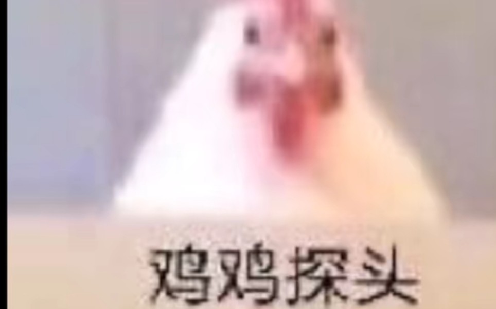鲨鱼421鸡鸡探头燥燥鸡