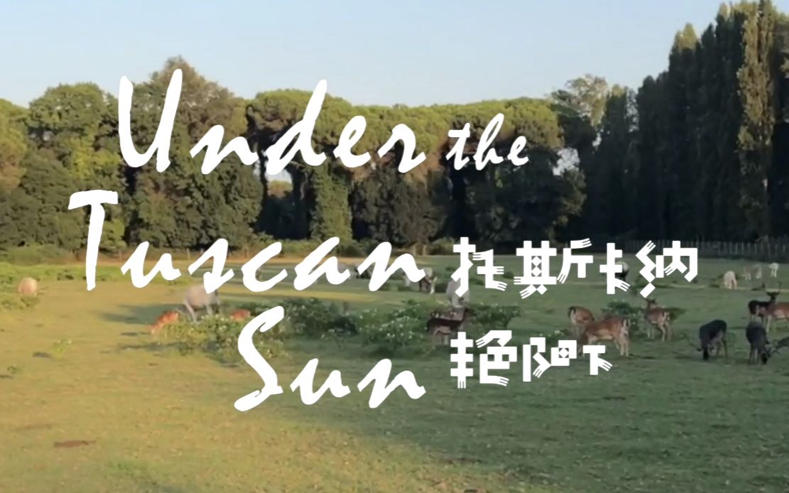 [图]VLOG05 托斯卡纳艳阳下/ Under the Tuscan Sun