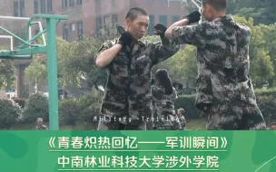 Descargar video: 《青春炽热回忆——军训瞬间》中南林业科技大学涉外学院