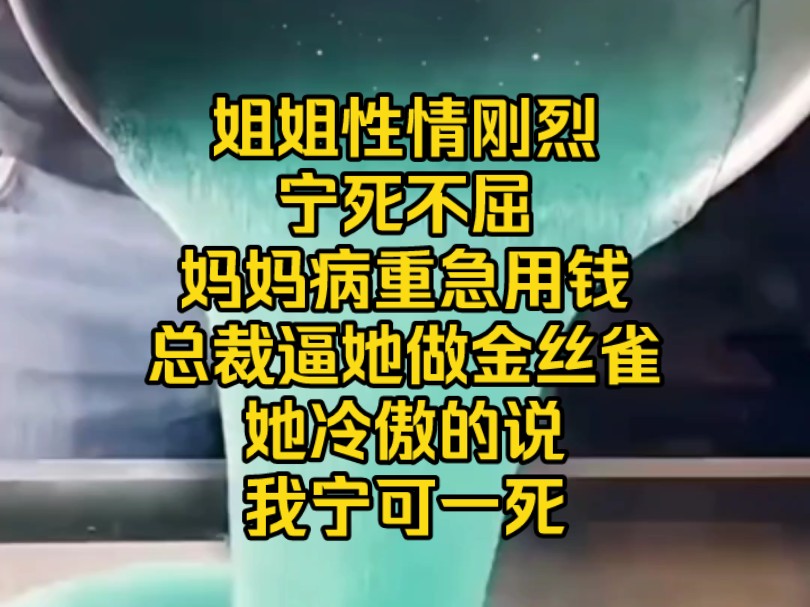 姐姐性情刚烈宁死不屈,妈妈病重急用钱,总裁逼她做金丝雀她冷傲的说,我宁可一死哔哩哔哩bilibili