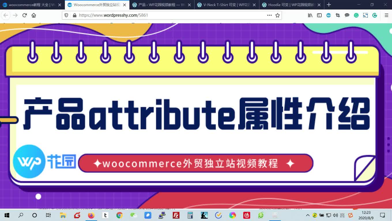 【woocommerce外贸独立站新手视频教学】产品attribute属性介绍哔哩哔哩bilibili