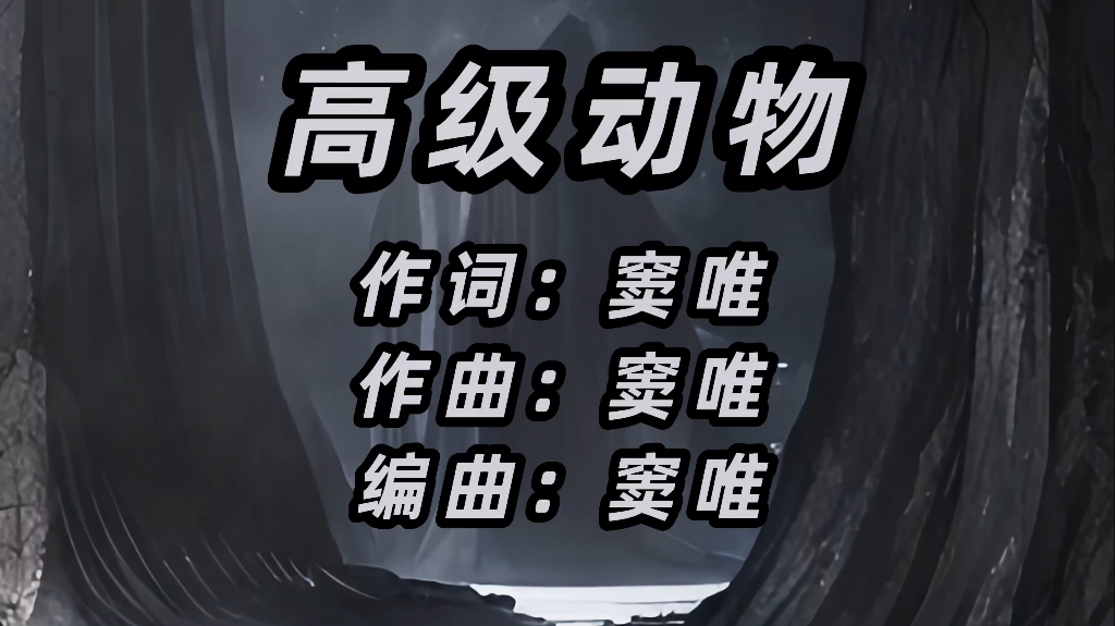 【无损音质】窦唯《高级动物》  独立摇滚  收录于1994年5月发行的《黑梦》专辑中(中文字幕)4K高清哔哩哔哩bilibili