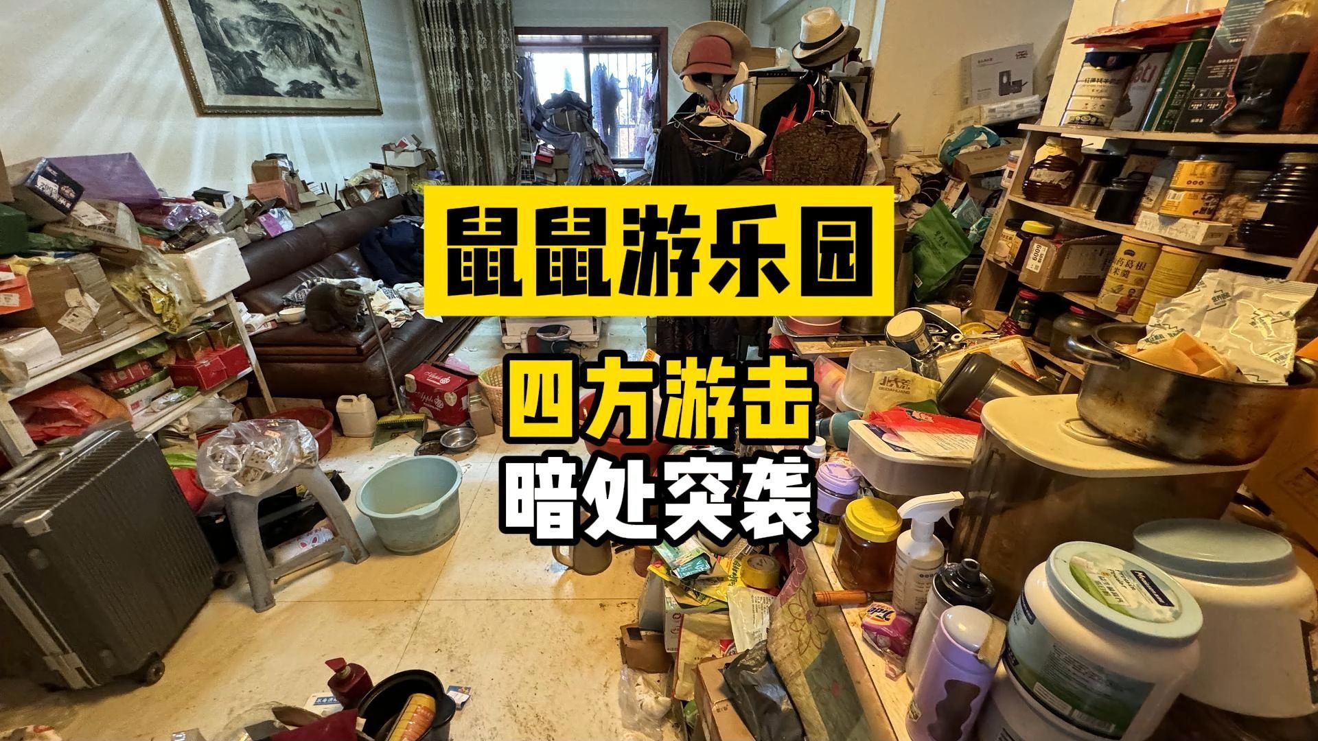 鼠鼠：保卫家园的时候到了，准备巷战！