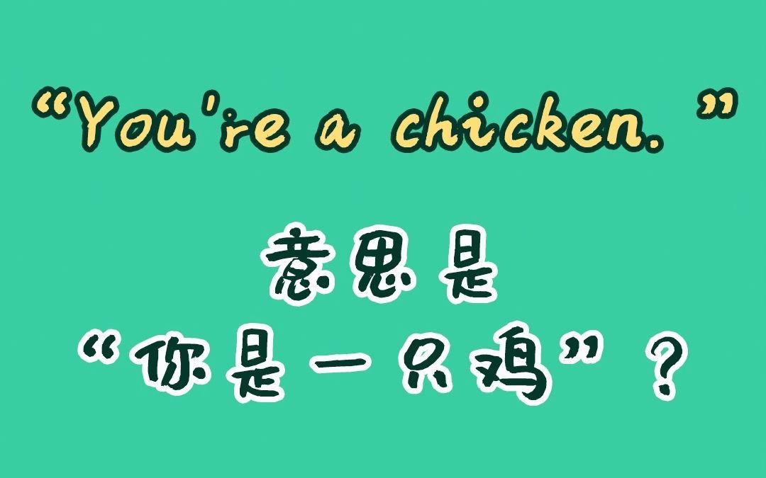 【和扇貝學英語】youre a chicken 意思是你是一隻雞嗎?