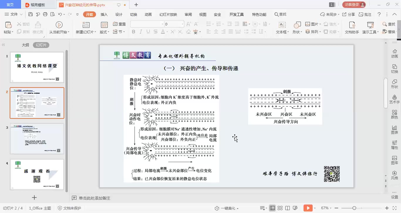 【高中生物】必修三第三章兴奋在神经元细胞上的传导盖娜哔哩哔哩bilibili