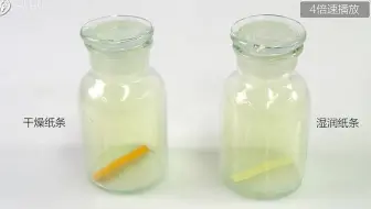 《高中教材实验》必修一 第二章 次氯酸的漂白性：NaClO漂白花朵褪色实验