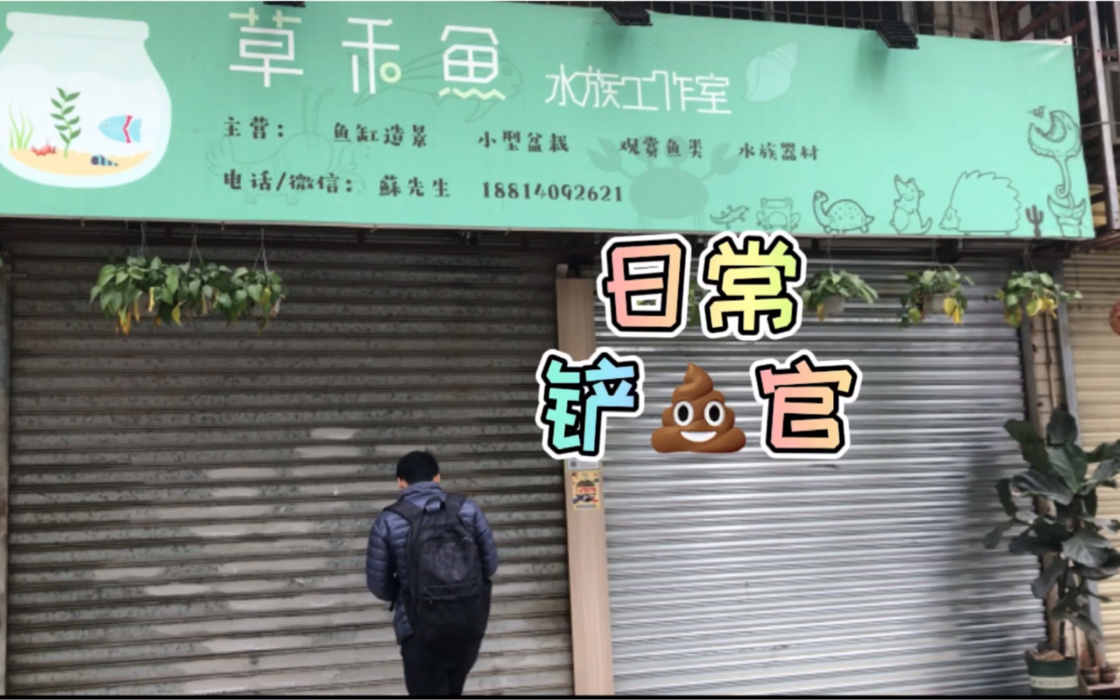 【特别的水族店】那么多宠物的水族店的铲*日常哔哩哔哩bilibili