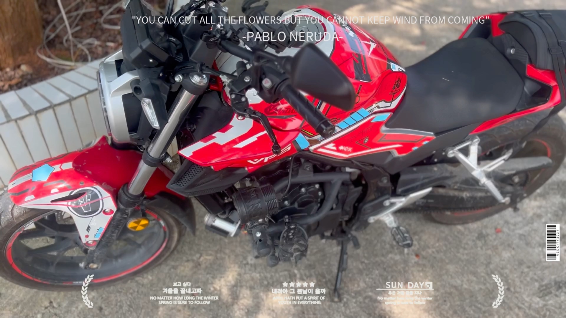 本田cb400f 圆灯 贴画