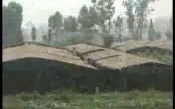 南瓜覆膜栽培技术 哔哩哔哩 Bilibili