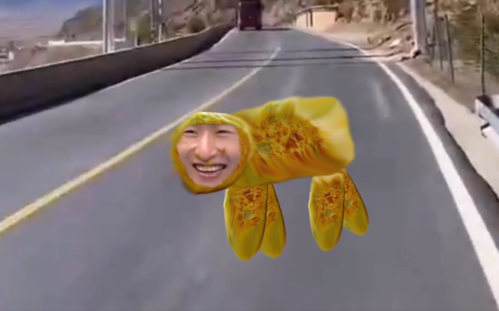 韭菜盒子兽哈姆宇宙新成员