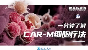 医药新浪潮 ｜一分钟了解CAR-M细胞疗法