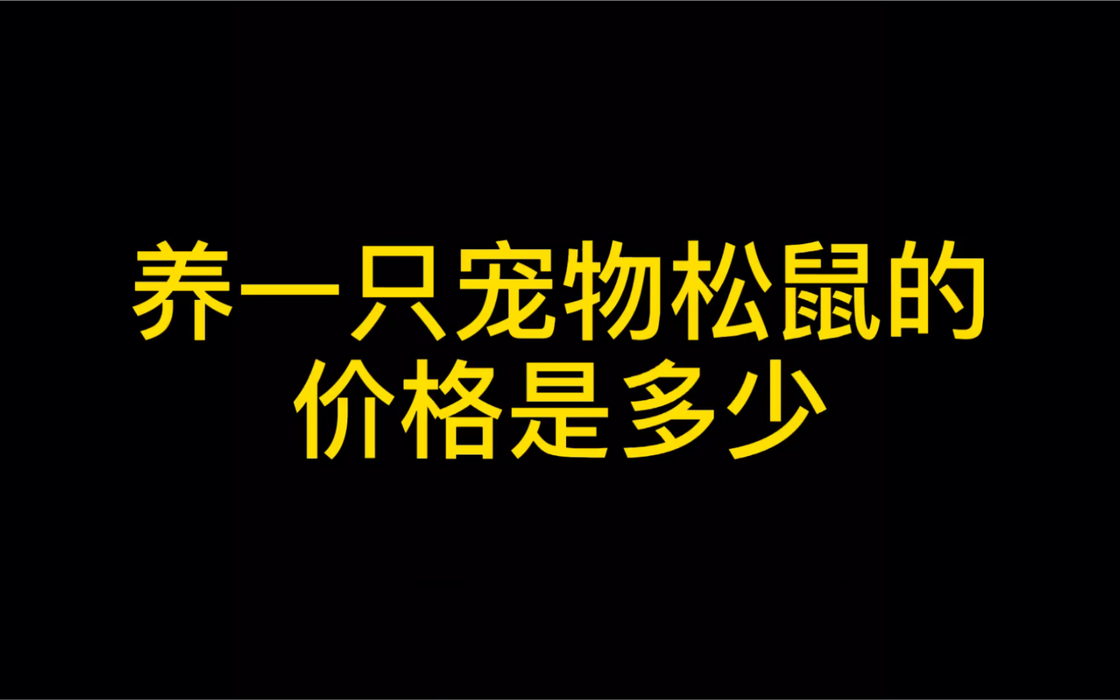 【松鼠】宠物松鼠价格参考,避免新手踩坑,分享给大家哔哩哔哩bilibili