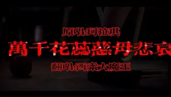 闽南语男声翻唱《万千花蕊慈母悲哀》血观音+大佛混剪
