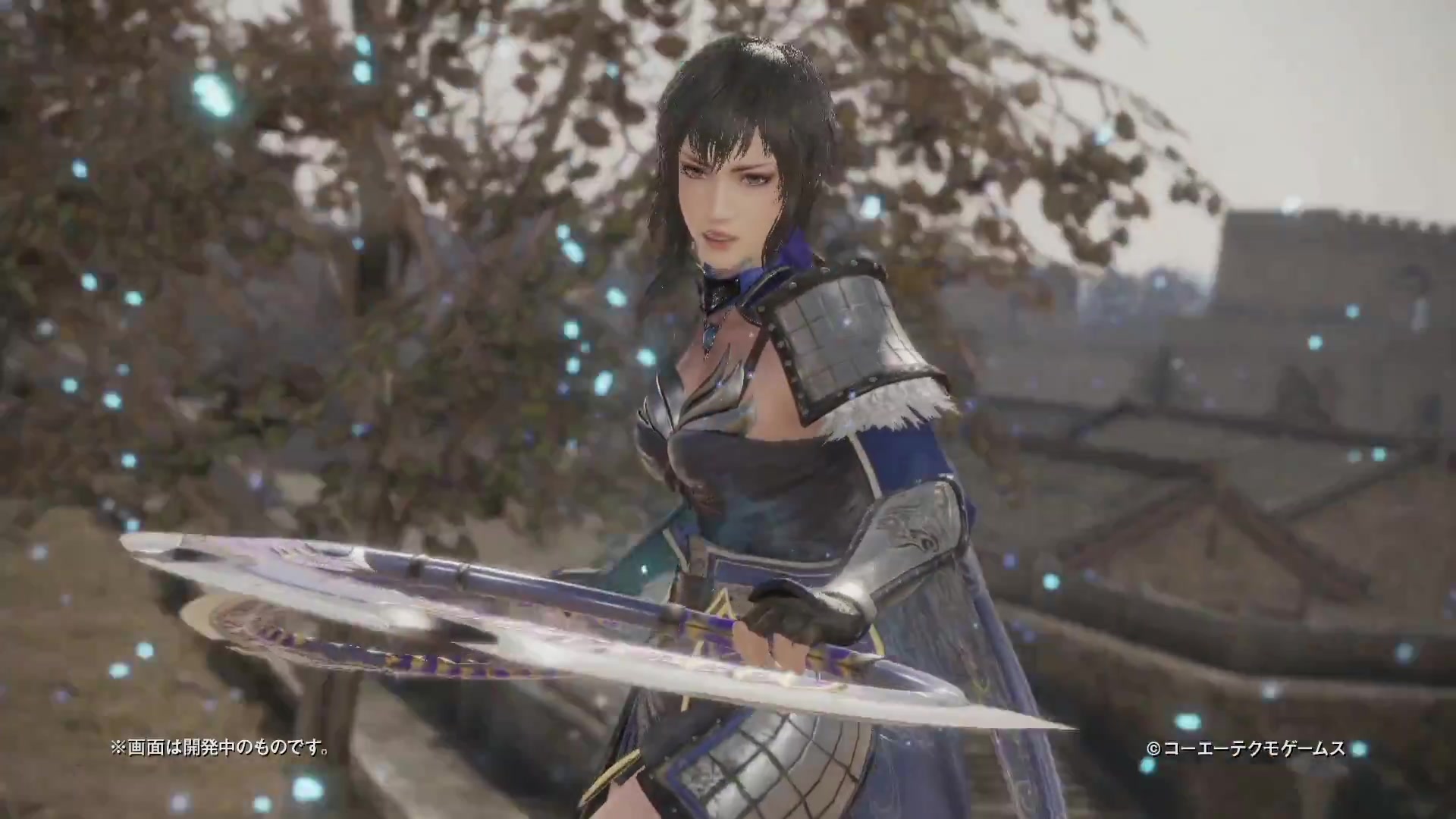 真99三国无双8王异动作展示视频