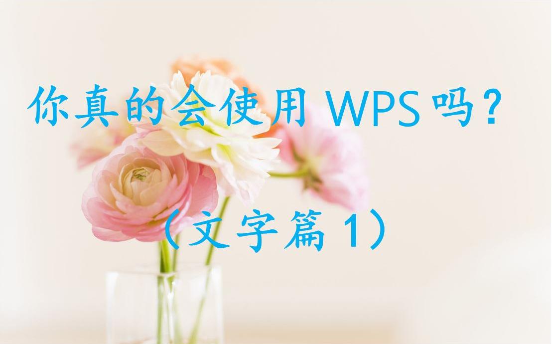 你真的会使用WPS吗?(文字篇1)哔哩哔哩bilibili