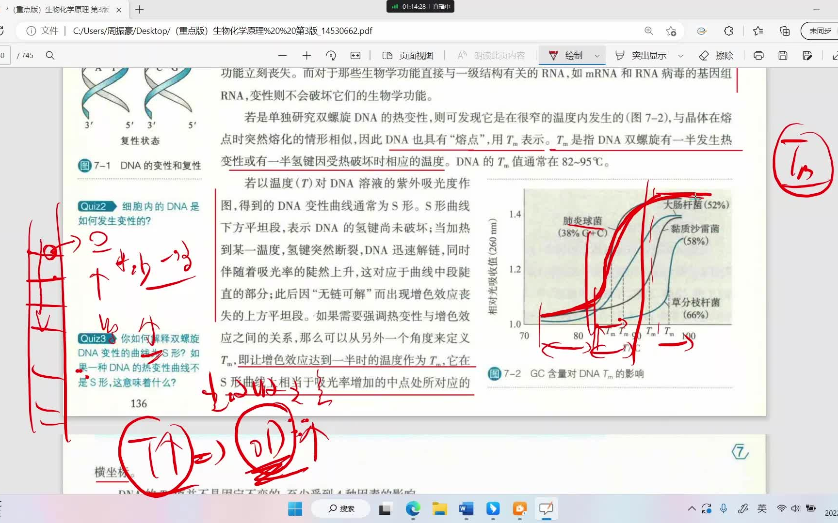 生化重点32DNA的Tm值的详细剖析哔哩哔哩bilibili