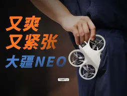 下载视频: 玩具？最便宜的飞天神器！DJI NEO无人机【值不值得买第665期】